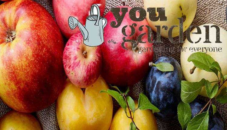 YouGarden