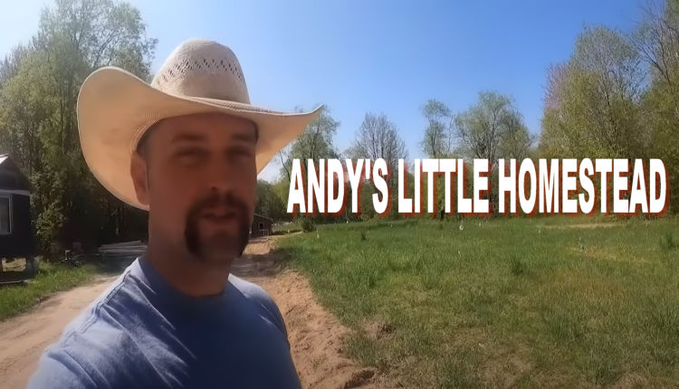 ANDYS LITTLE HOMESTEAD