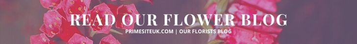 READ OUR FLORISTS BLOGS