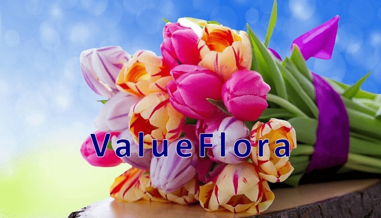 ValueFlora listed on PrimeSiteUK.Com