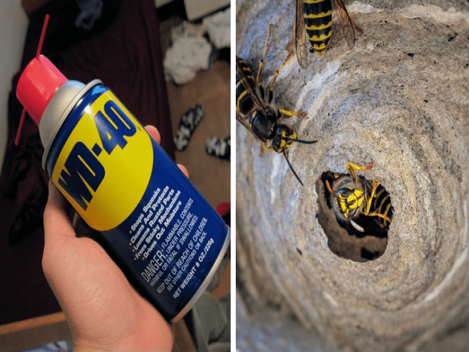 WD40 HACKS - Dealing and Preventing Wasp Nests