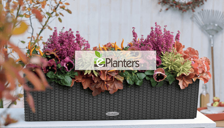 ePlanters listed on PrimeSiteUK.Com